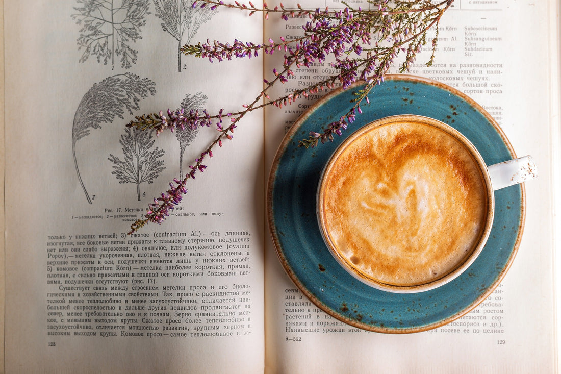 Upgrade Your Morning Brew with Mushroom Coffee